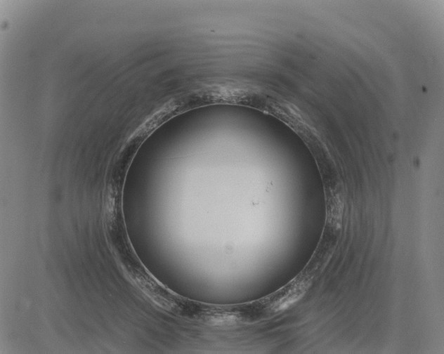 X0000080700456200612301518