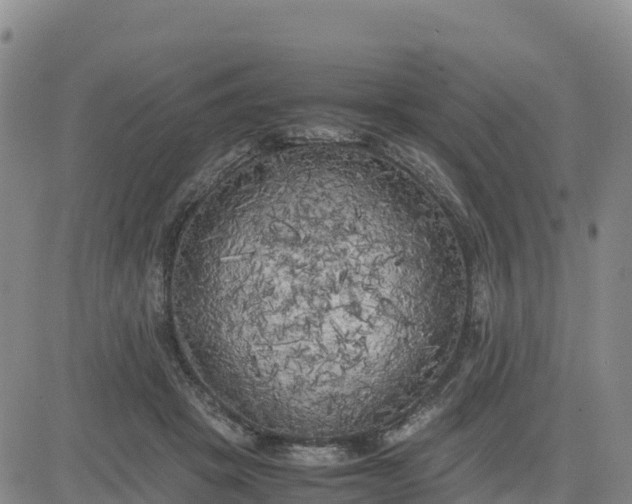 X0000080700457200612301518
