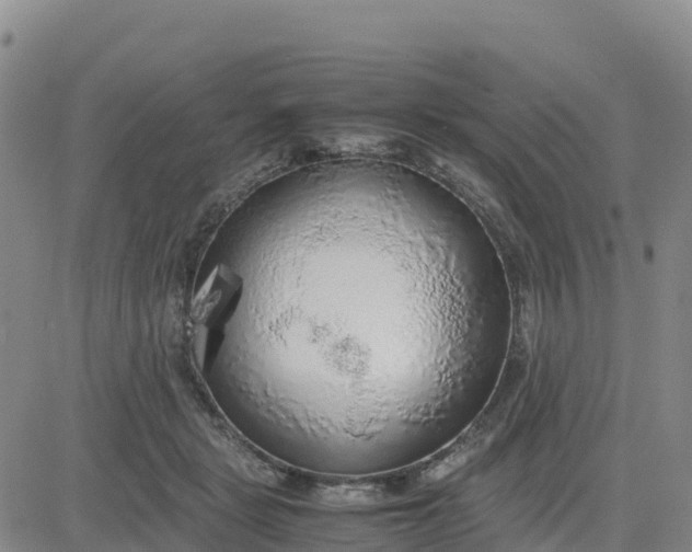 X0000080700461200612301518
