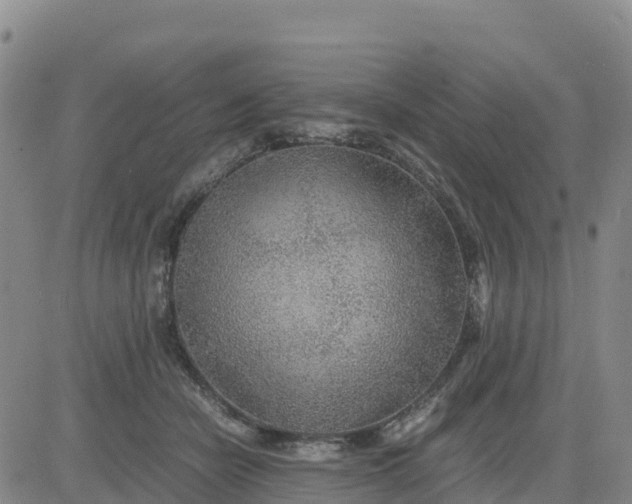 X0000080700462200612301518