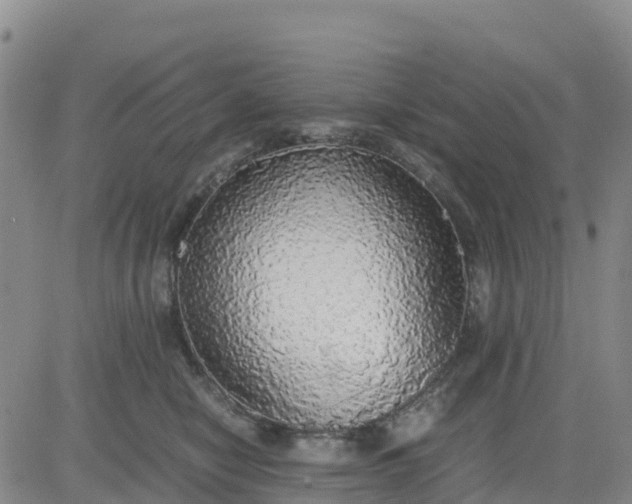 X0000080700470200612301518