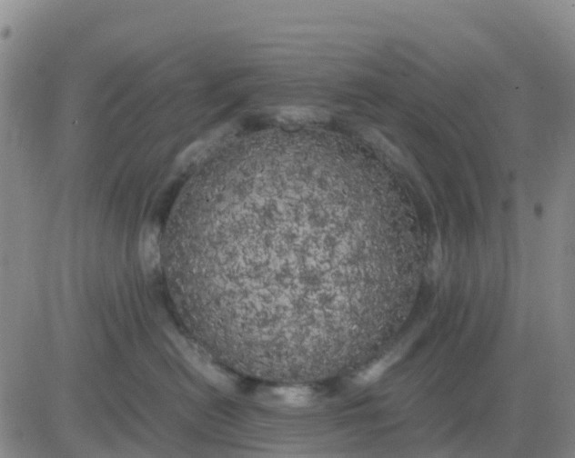 X0000080700478200612301519