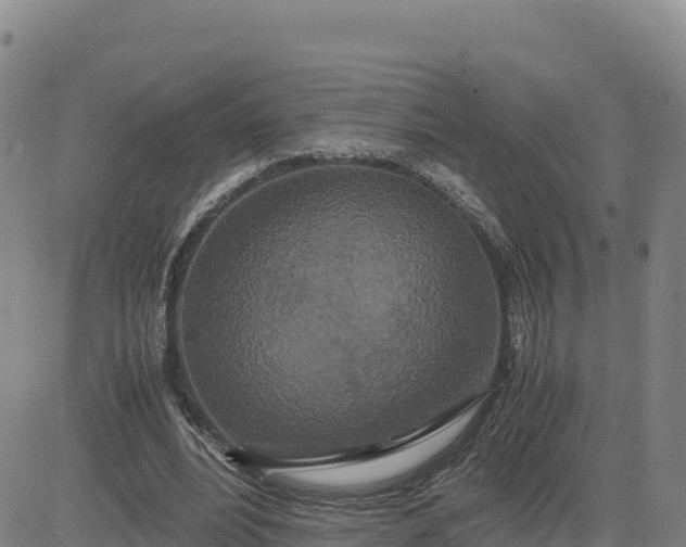 X0000080700488200612301518