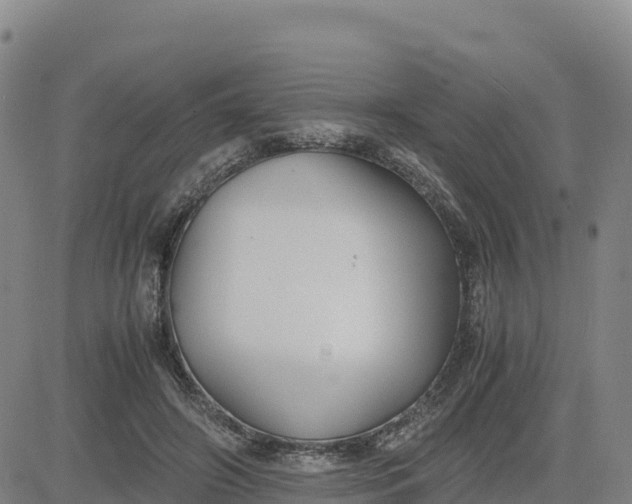 X0000080700498200612301518
