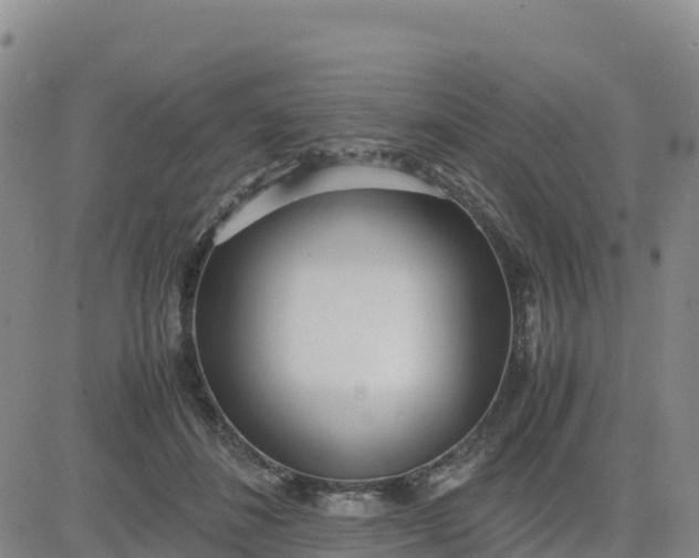 X0000080700508200612301517