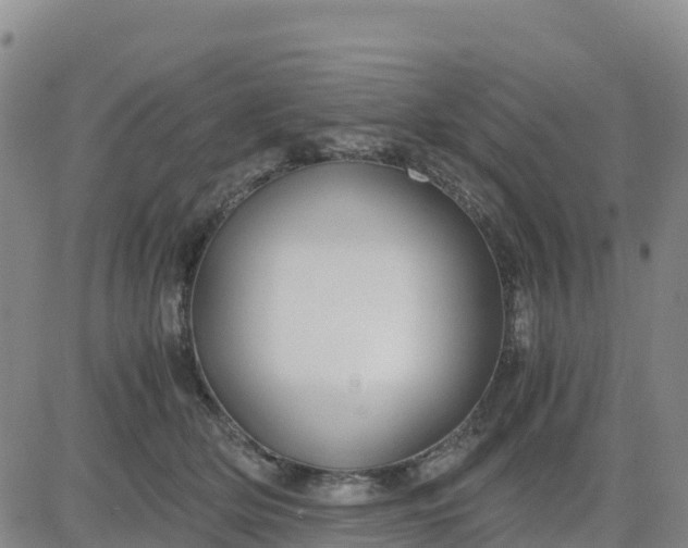 X0000080700514200612301517