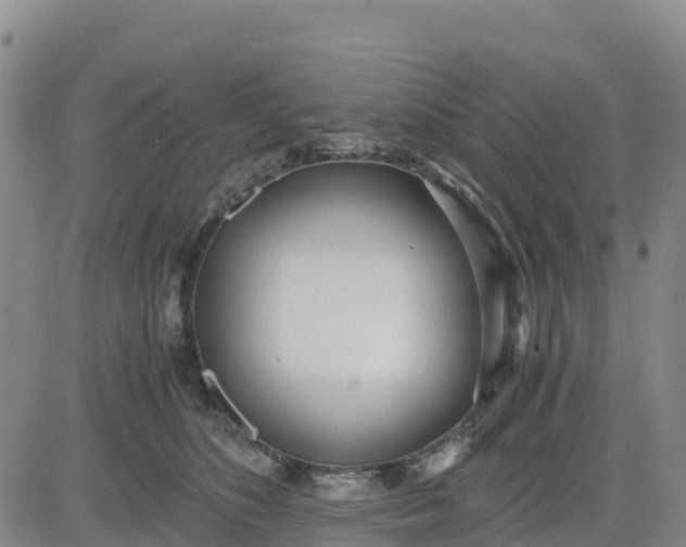 X0000080700516200612301517