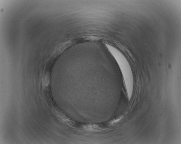 X0000080700517200612301517