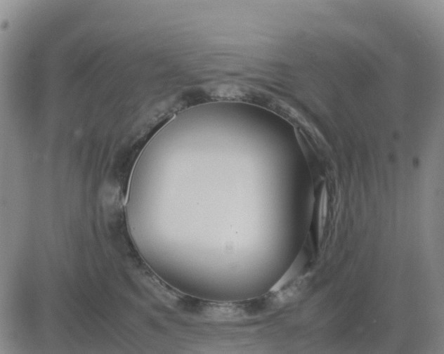 X0000080700521200612301517