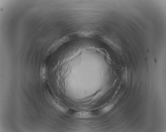 X0000080700526200612301517