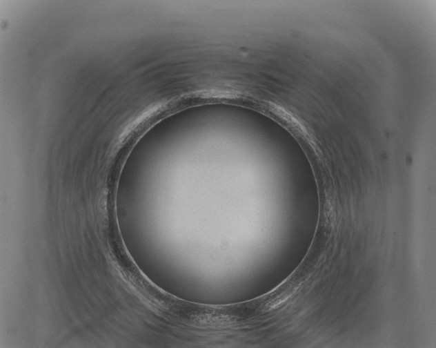 X0000080700535200612301516