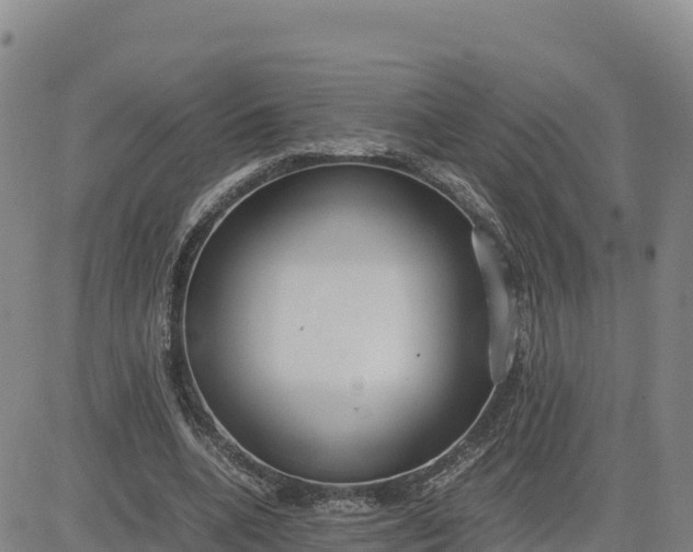 X0000080700536200612301516