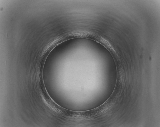 X0000080700538200612301516
