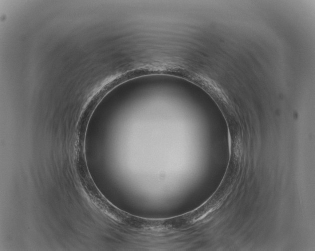 X0000080700540200612301516
