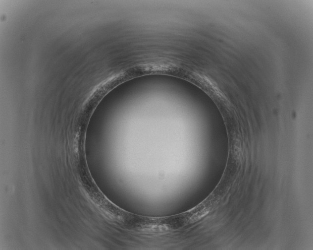 X0000080700543200612301517