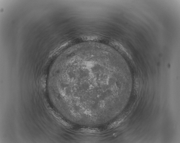 X0000080700545200612301517