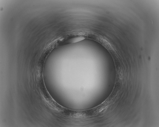 X0000080700546200612301517