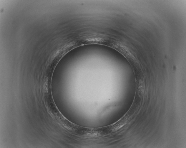 X0000080700547200612301517