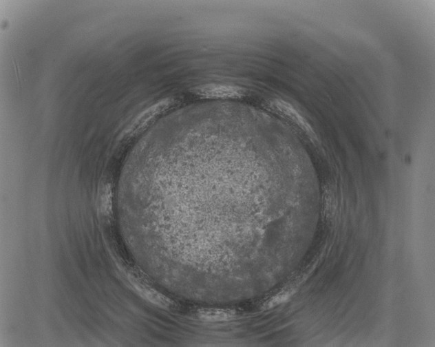 X0000080700549200612301517
