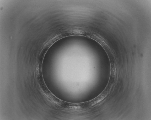 X0000080700552200612301517