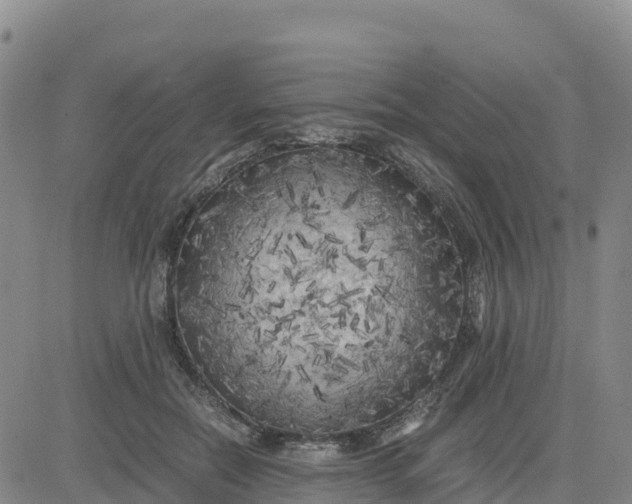 X0000080700554200612301517