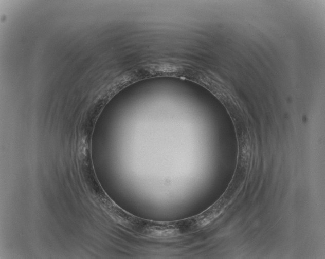 X0000080700555200612301517