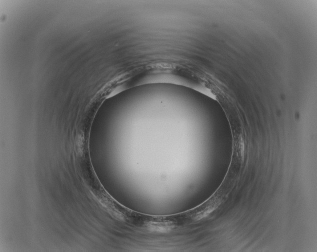 X0000080700556200612301517
