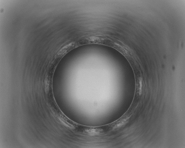 X0000080700558200612301517