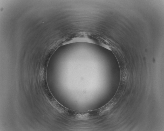 X0000080700560200612301517
