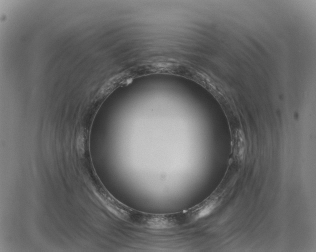 X0000080700562200612301517