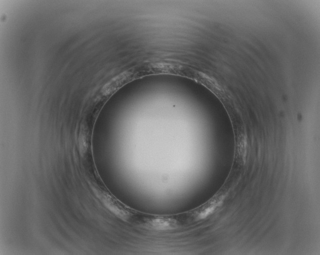 X0000080700566200612301517