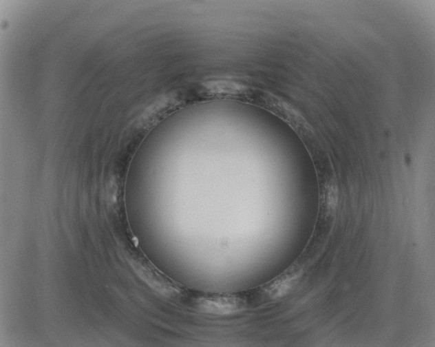 X0000080700567200612301517