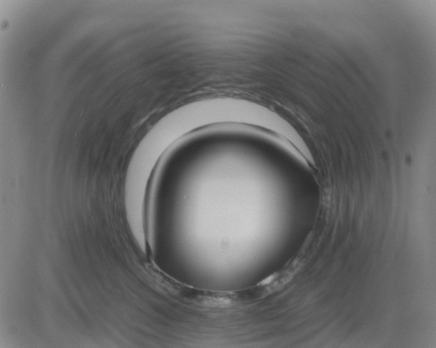X0000080700572200612301517
