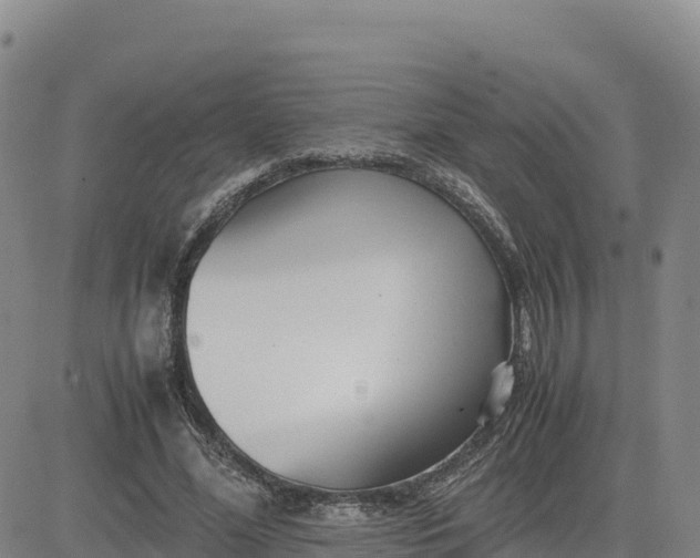 X0000080700588200612301516