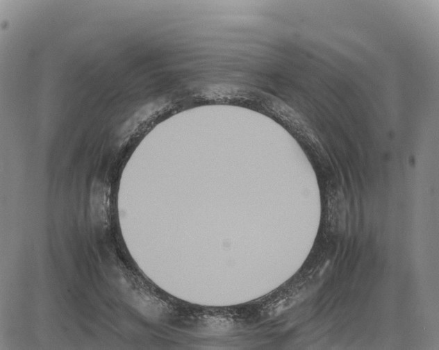 X0000080700592200612301516
