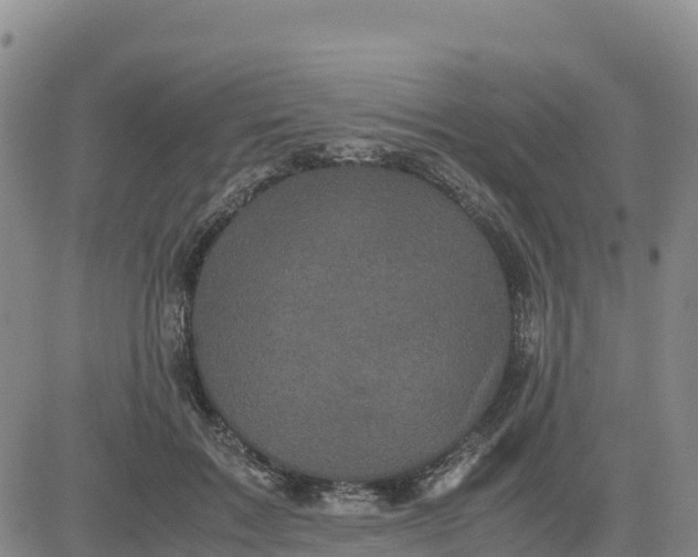X0000080700603200612301516