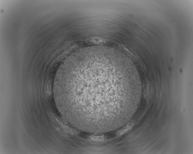 X0000080700606200612301516