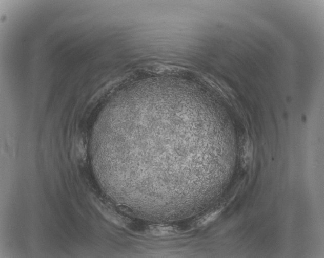 X0000080700607200612301516