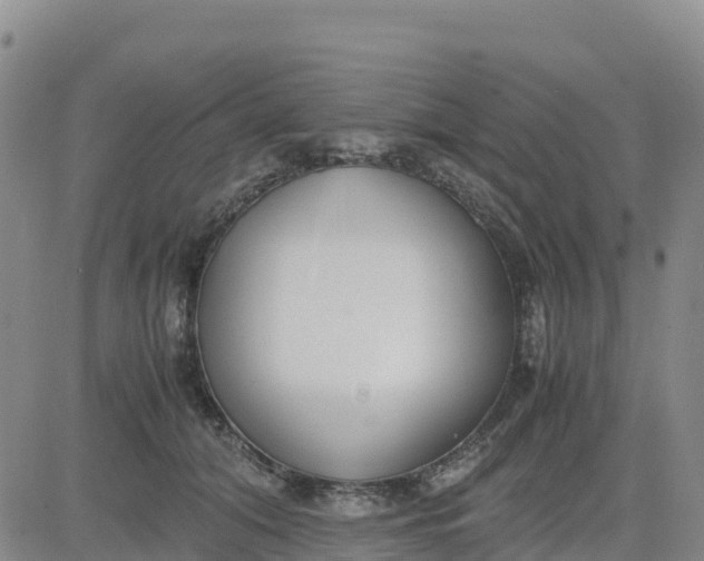 X0000080700608200612301516