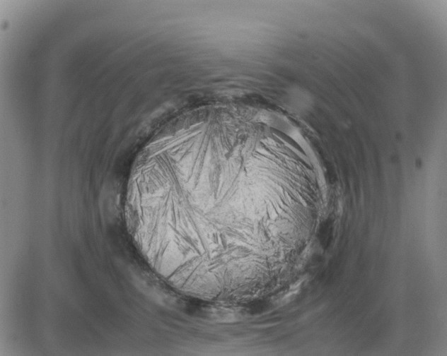 X0000080700615200612301516