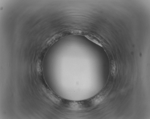 X0000080700616200612301516