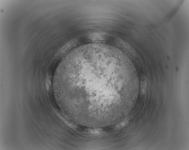 X0000080700618200612301516