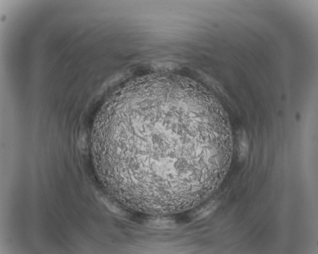 X0000080700619200612301516