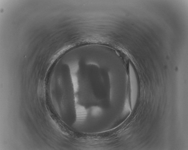 X0000080700626200612301515