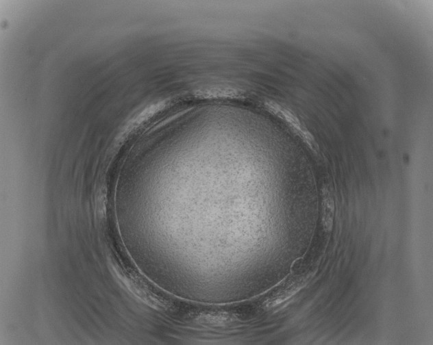 X0000080700631200612301515
