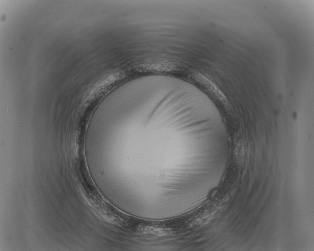 X0000080700635200612301515