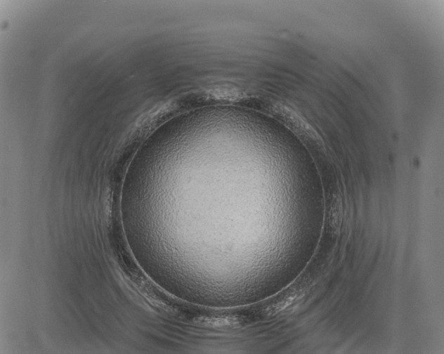 X0000080700639200612301515