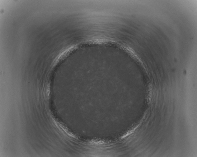 X0000080700640200612301515