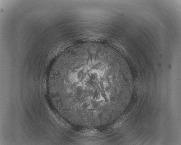 X0000080700642200612301515