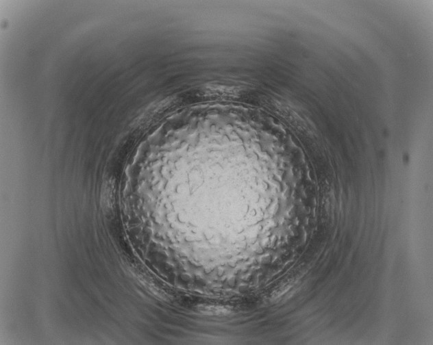 X0000080700649200612301515